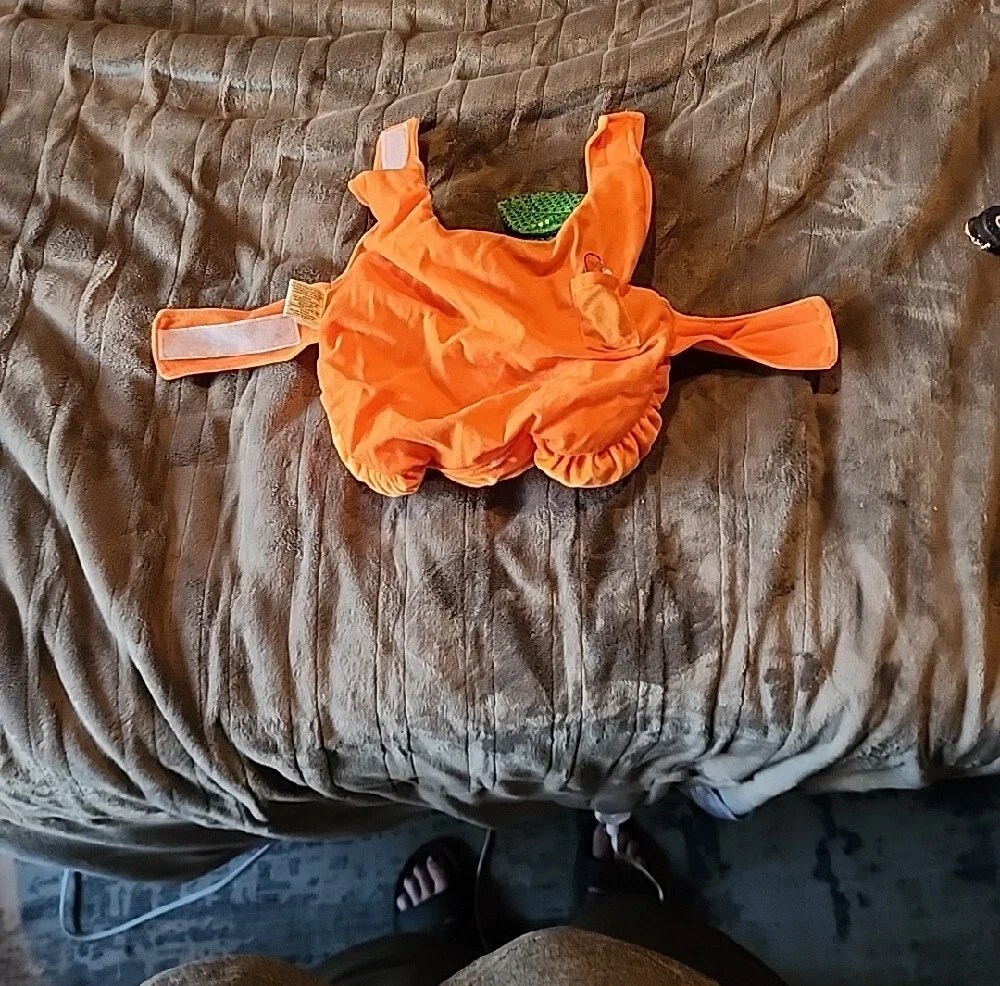 Dogs Pumpkin Costume Dress-Up in Bright Orange with Green Leaf Accents